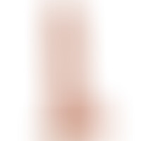 Extreme XXXL Dildo 34 cm Natural