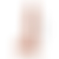 Extreme XXXL Dildo 34 cm Natural
