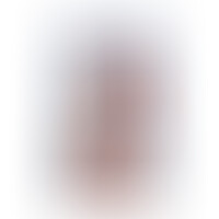 Extreme XXXL Dildo 34 cm Natural