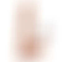 Dual Density Dildo 17 cm con Testículos Natural