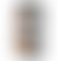 Modelo 1 Pene Realístico