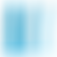 Phoebe Vibrador Realistico Azul Control Remoto