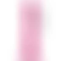 Michelangelo Dildo Vibrador Rosa