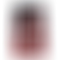 20 Pene Realistico