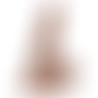 Pene Realistico 1