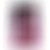 Pene Realistico 24