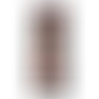 Pene Super Realístico Termo Reactivo Modelo 2