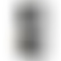 Pene Realístico Negro Modelo 2