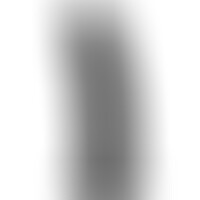 Pene Realístico Negro Modelo 2